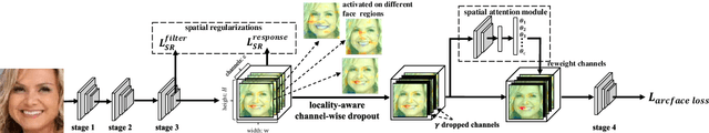 Figure 1 for Locality-aware Channel-wise Dropout for Occluded Face Recognition