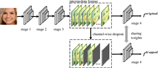 Figure 3 for Locality-aware Channel-wise Dropout for Occluded Face Recognition