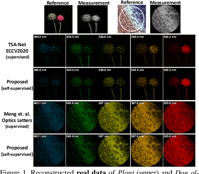 Figure 1 for Self-supervised Neural Networks for Spectral Snapshot Compressive Imaging
