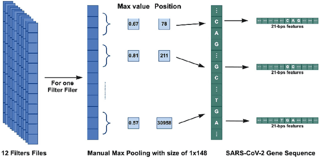 Figure 3 for Deep learning forward and reverse primer design to detect SARS-CoV-2 emerging variants