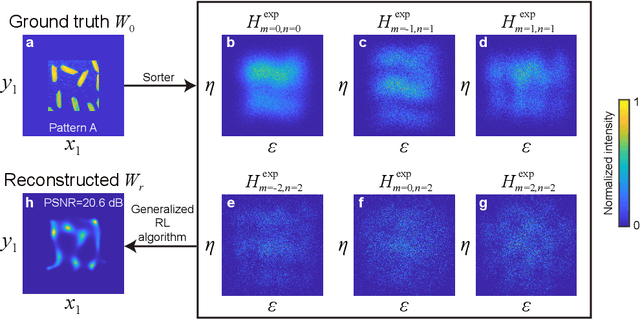 Figure 2 for Confocal super-resolution microscopy based on a spatial mode sorter