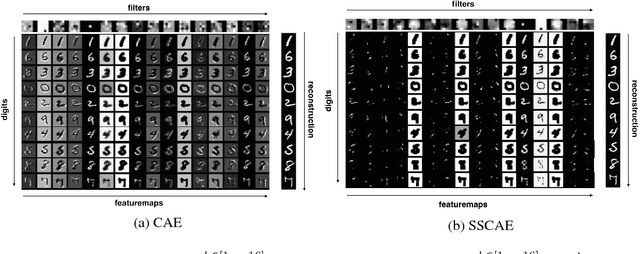 Figure 1 for Structured Sparse Convolutional Autoencoder