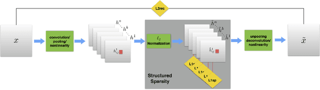 Figure 3 for Structured Sparse Convolutional Autoencoder