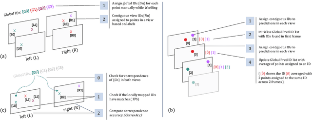 Figure 4 for mvHOTA: A multi-view higher order tracking accuracy metric to measure spatial and temporal associations in multi-point detection