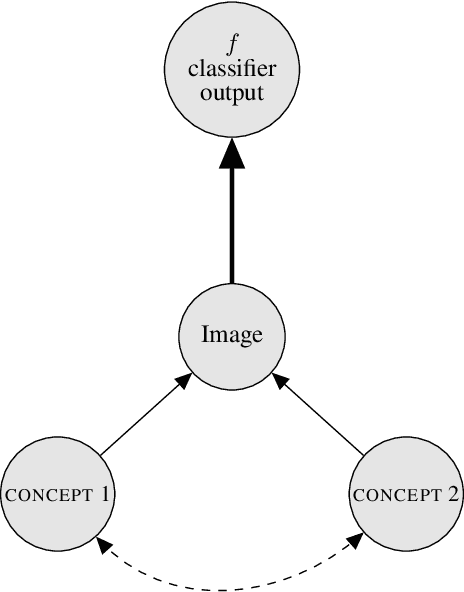 Figure 1 for Explaining Classifiers with Causal Concept Effect (CaCE)