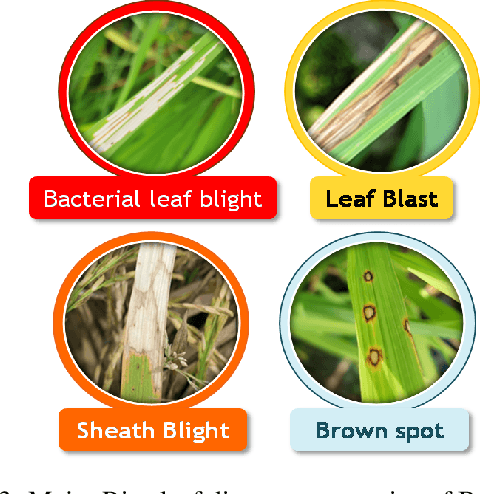 Figure 3 for Rice Leaf Disease Classification and Detection Using YOLOv5