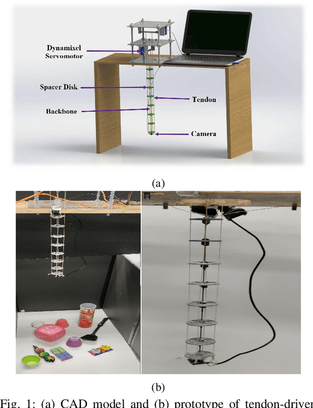 Figure 1 for Deep Direct Visual Servoing of Tendon-Driven Continuum Robots
