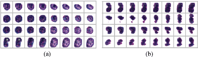 Figure 2 for Unsupervised Learning for Cell-level Visual Representation in Histopathology Images with Generative Adversarial Networks