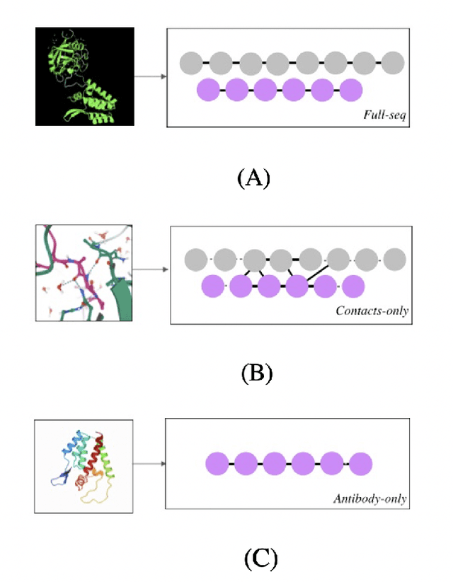 Figure 2 for Sequence-based deep learning antibody design for in silico antibody affinity maturation