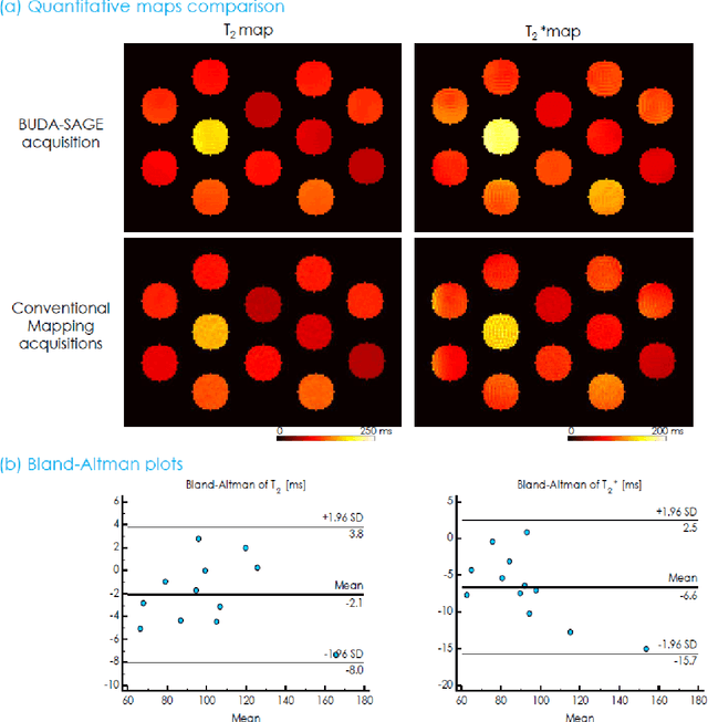 Figure 4 for BUDA-SAGE with self-supervised denoising enables fast, distortion-free, high-resolution T2, T2*, para- and dia-magnetic susceptibility mapping