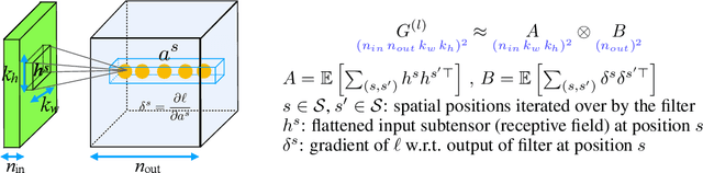 Figure 1 for Fast Approximate Natural Gradient Descent in a Kronecker-factored Eigenbasis