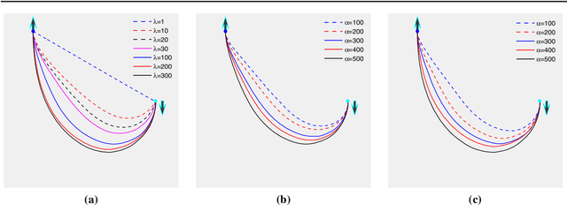 Figure 4 for Global Minimum for a Finsler Elastica Minimal Path Approach