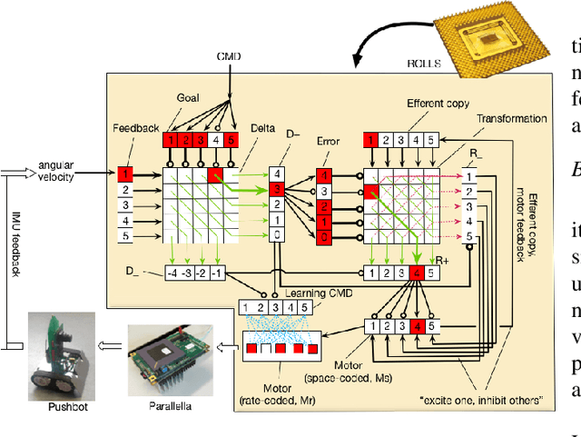 Figure 1 for Adaptive motor control and learning in a spiking neural network realised on a mixed-signal neuromorphic processor