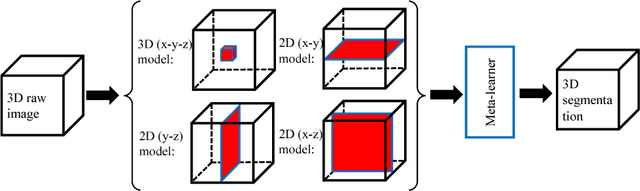 Figure 1 for A New Ensemble Learning Framework for 3D Biomedical Image Segmentation