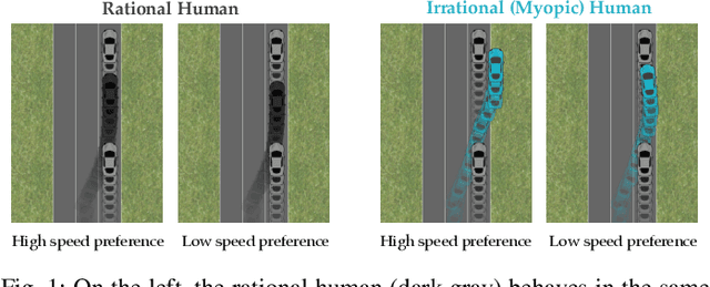 Figure 1 for Human irrationality: both bad and good for reward inference