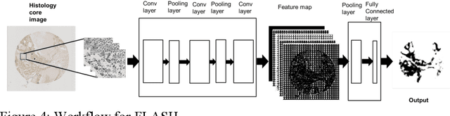Figure 4 for Accurate Tumor Tissue Region Detection with Accelerated Deep Convolutional Neural Networks