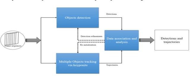 Figure 3 for Automatic individual pig detection and tracking in surveillance videos