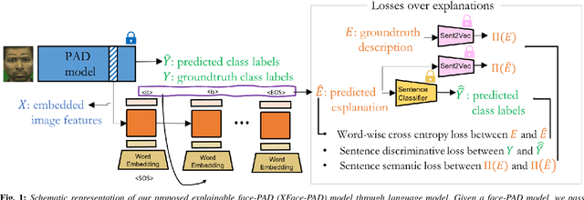 Figure 1 for Explaining Face Presentation Attack Detection Using Natural Language