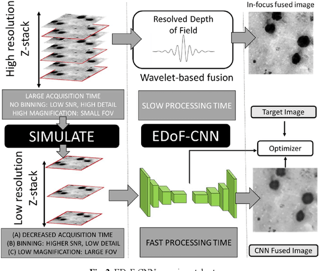 Figure 3 for Deep Learning Enhanced Extended Depth-of-Field for Thick Blood-Film Malaria High-Throughput Microscopy
