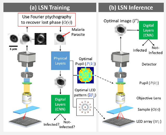 Figure 1 for Multi-element microscope optimization by a learned sensing network with composite physical layers
