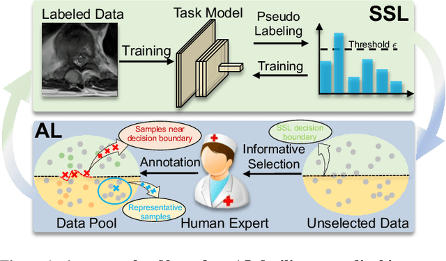 Figure 1 for BoostMIS: Boosting Medical Image Semi-supervised Learning with Adaptive Pseudo Labeling and Informative Active Annotation