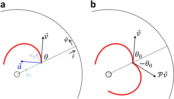 Figure 3 for Robophysical modeling of spacetime dynamics