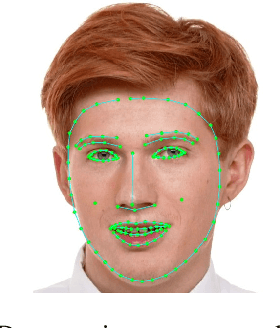 Figure 4 for Real-time Facial Surface Geometry from Monocular Video on Mobile GPUs