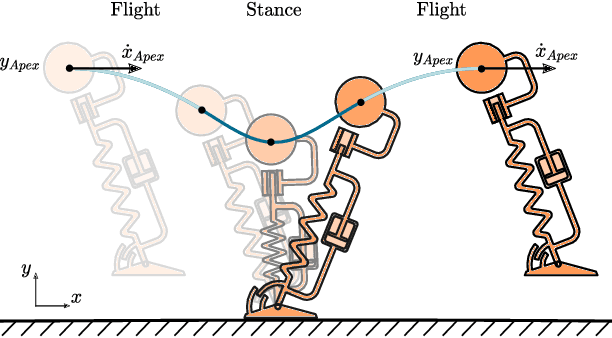 Figure 1 for Ankle Torque During Mid-Stance Does Not Lower Energy Requirements of Steady Gaits