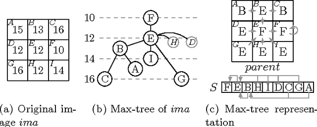 Figure 1 for A fair comparison of many max-tree computation algorithms (Extended version of the paper submitted to ISMM 2013