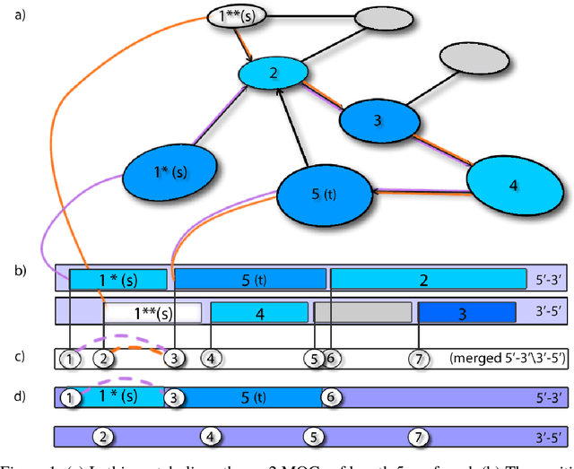 Figure 1 for A machine learning approach to investigate regulatory control circuits in bacterial metabolic pathways