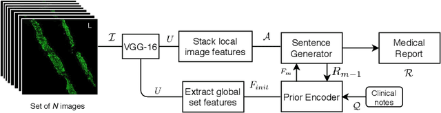 Figure 1 for CORAL8: Concurrent Object Regression for Area Localization in Medical Image Panels