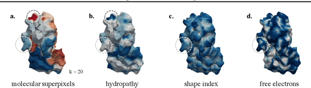 Figure 1 for Multi-Scale Representation Learning on Proteins