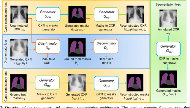 Figure 2 for Anatomy X-Net: A Semi-Supervised Anatomy Aware Convolutional Neural Network for Thoracic Disease Classification