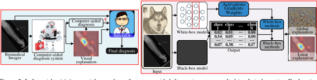 Figure 3 for A Survey on Deep Learning of Small Sample in Biomedical Image Analysis
