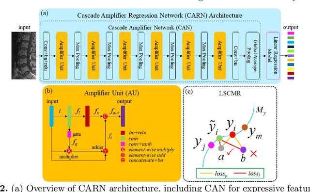 Figure 3 for Direct Automated Quantitative Measurement of Spine via Cascade Amplifier Regression Network