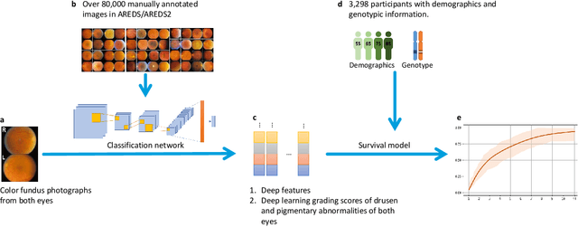 Figure 1 for Predicting risk of late age-related macular degeneration using deep learning