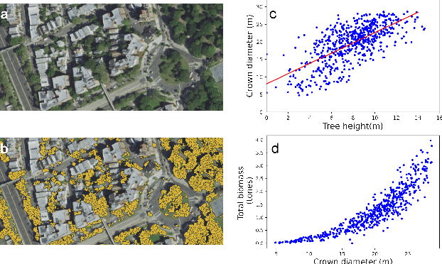 Figure 3 for Quantification of Carbon Sequestration in Urban Forests