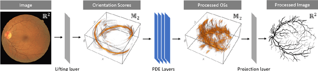 Figure 4 for PDE-based Group Equivariant Convolutional Neural Networks
