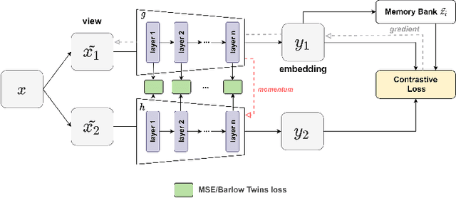 Figure 1 for Intermediate Layers Matter in Momentum Contrastive Self Supervised Learning