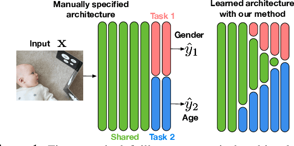 Figure 1 for Stochastic Filter Groups for Multi-Task CNNs: Learning Specialist and Generalist Convolution Kernels