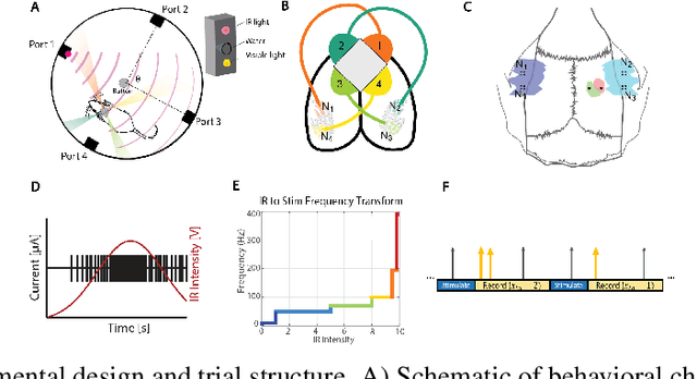Figure 1 for Graph Convolutional Networks Reveal Neural Connections Encoding Prosthetic Sensation