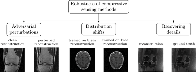 Figure 1 for Measuring Robustness in Deep Learning Based Compressive Sensing