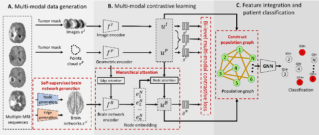 Figure 1 for Multi-modal learning for predicting the genotype of glioma