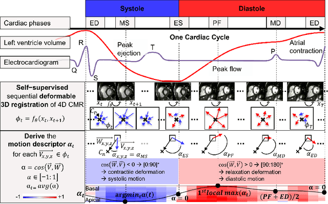 Figure 1 for Self-supervised motion descriptor for cardiac phase detection in 4D CMR based on discrete vector field estimations