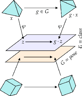 Figure 1 for Equivariant Representation Learning via Class-Pose Decomposition