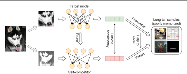 Figure 1 for Self-Damaging Contrastive Learning