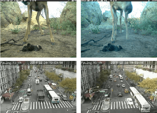 Figure 1 for Long Term Temporal Context for Per-Camera Object Detection