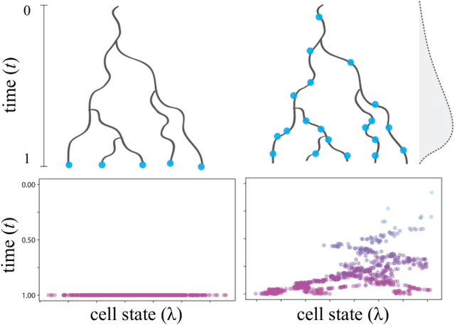 Figure 1 for Reconstructing probabilistic trees of cellular differentiation from single-cell RNA-seq data