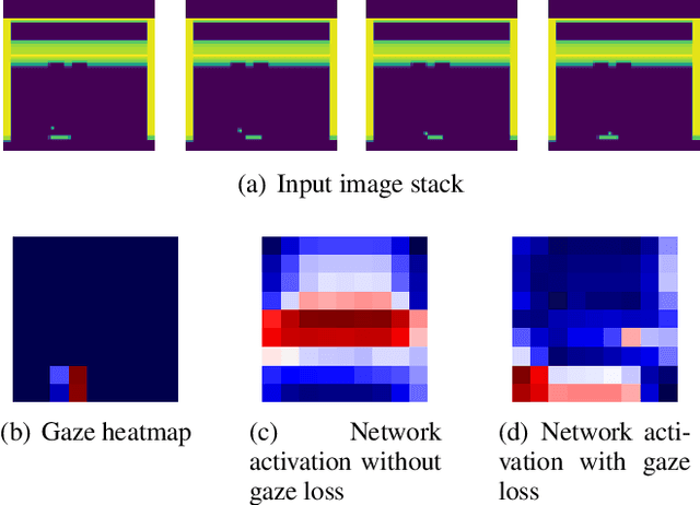 Figure 1 for Efficiently Guiding Imitation Learning Algorithms with Human Gaze