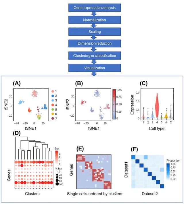 Figure 2 for Artificial Intelligence Models for Cell Type and Subtype Identification Based on Single-Cell RNA Sequencing Data in Vision Science